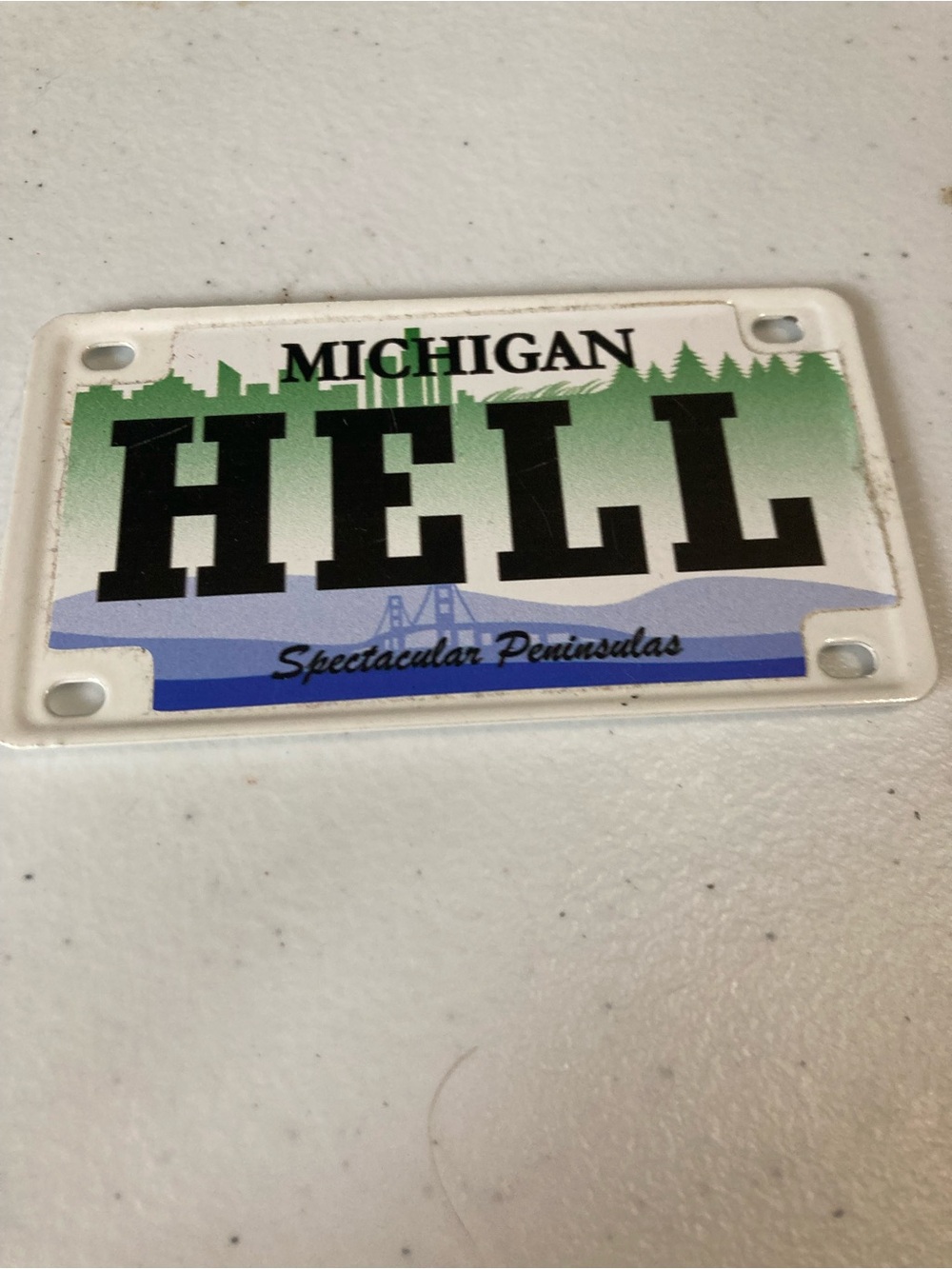 Michigan 'HELL' Novelty Mini License Plate Magnet- Green Blue Black Metal